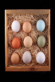 Artisan Eggs