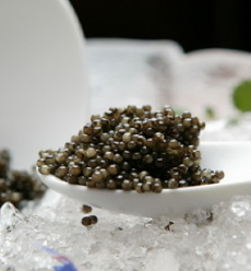 Naccarii Caviar