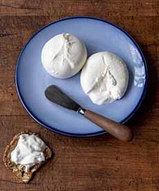 Burrata