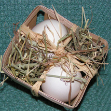 Goose Eggs