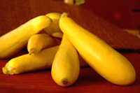 yellow squash