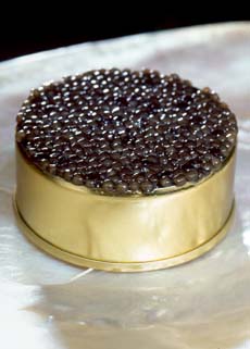 Beluga Caviar