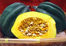 Acorn Squash