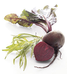 Tarragon and Beetroot