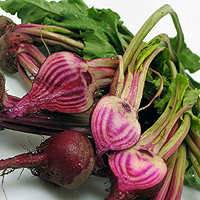 baby candy cane beets