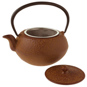 Tetsubin Teapot