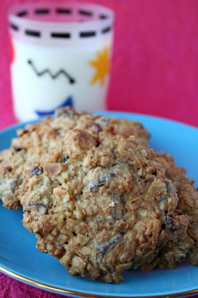 Coconut Chocolate Chip Cookies