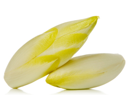 Belgian Endive