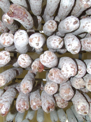 Salami