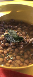 Lentil Soup