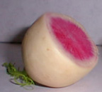 Radish