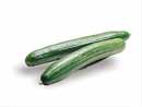 Cucumber