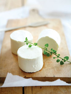 Goat Cheese Crottins From Vermont Creamery