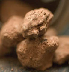 pralines