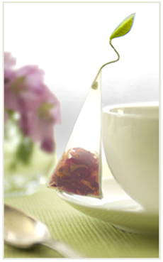Tea Forte Tea Bag