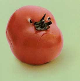 tomato