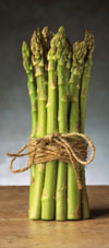 Asparagus