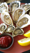 Willapa Oysters