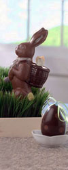 Chocolate Bunny