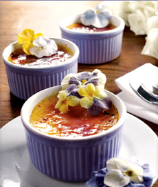 Creme Brulee