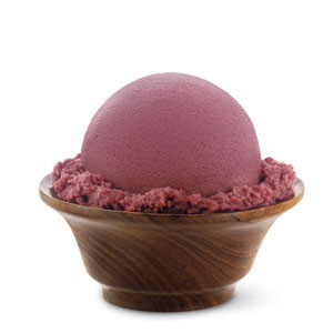 Haagen Dazs Brazilian Acai Berry Sorbet