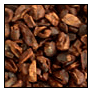 Cocoa