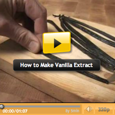 Make Vanilla Extract Video