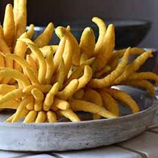 Buddha's Hand