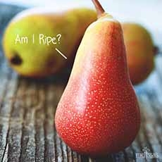 Pears