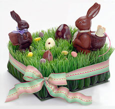 Chocolate Easter Bunny