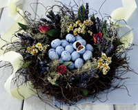 Truffle Egg Nest