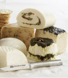 Artisan Cheese