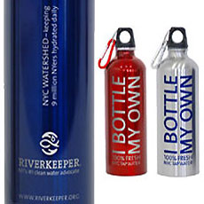 Take Back The Tap Stainless Steel Water Bottle