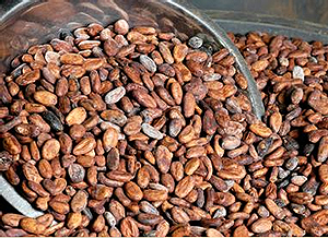 Cacao Beans