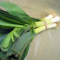 chinese leeks