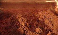 Cocoa Powder