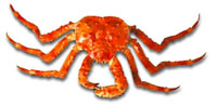 king crab