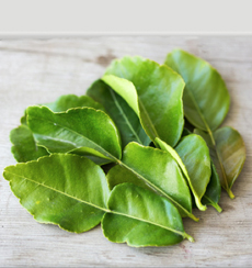 Kaffir Lime Leaves