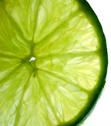 Lime Slice