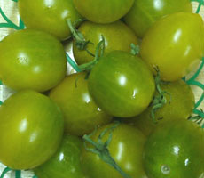 Grape Tomatoes