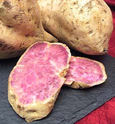 Okinawa Sweet Potato