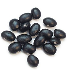 Black Turtle Beans