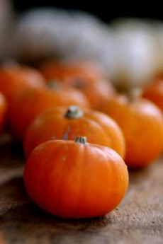 Baby pumpkins