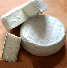 Goat Cheese