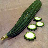 Chinese okra