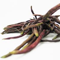 chinese red long bean