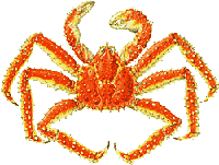 king crab