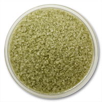 Matcha Sea Salt