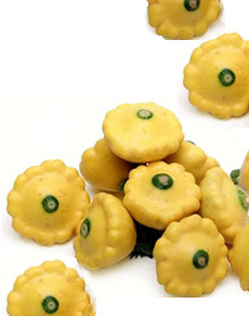 Pattypan Squash