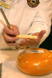 Cheese Judging